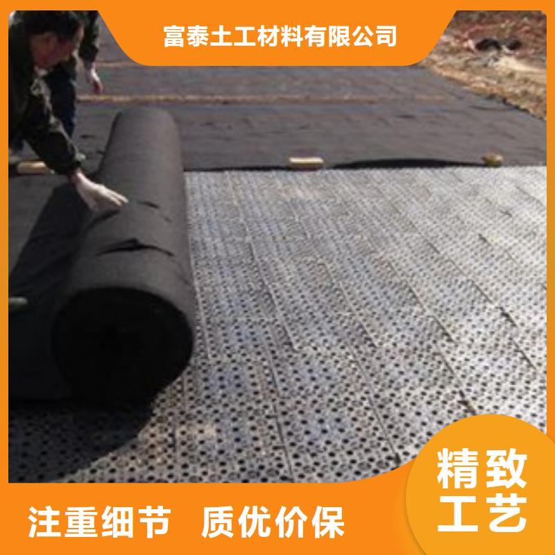 【排水板】,膨润土防水毯厂家免费安装 富泰土工材料(海南省分公司)