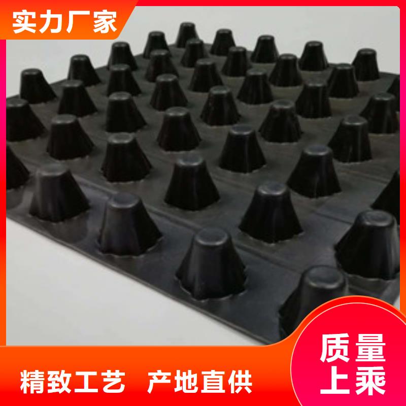 排水板-土工膜厂家加工定制