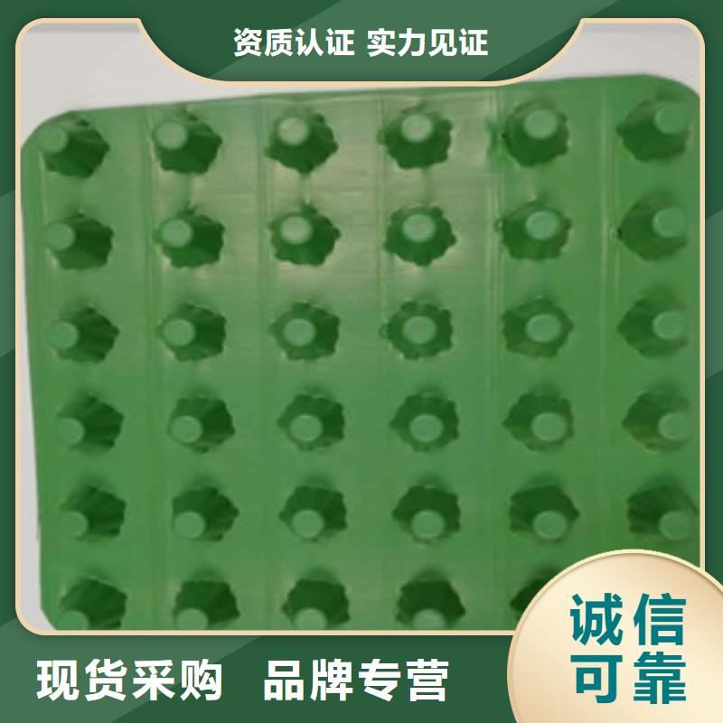 【排水板】,膨润土防水毯厂家免费安装 富泰土工材料(海南省分公司)