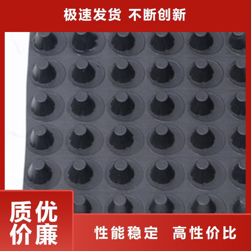 排水板蓄排水板厂家注重细节