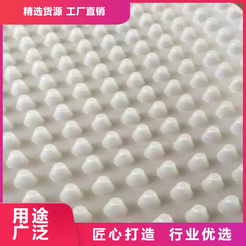 排水板生态袋厂家产地直供
