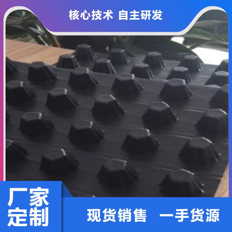 {富泰}让客户买的放心【排水板】,膨润土防水毯厂家免费安装-优选厂商-