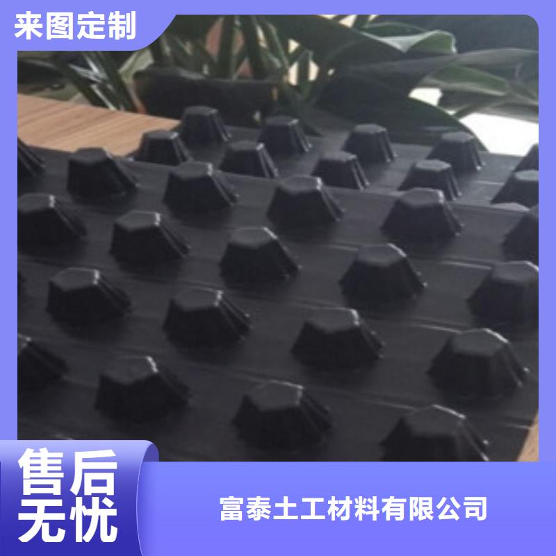 排水板植草格厂家诚信商家