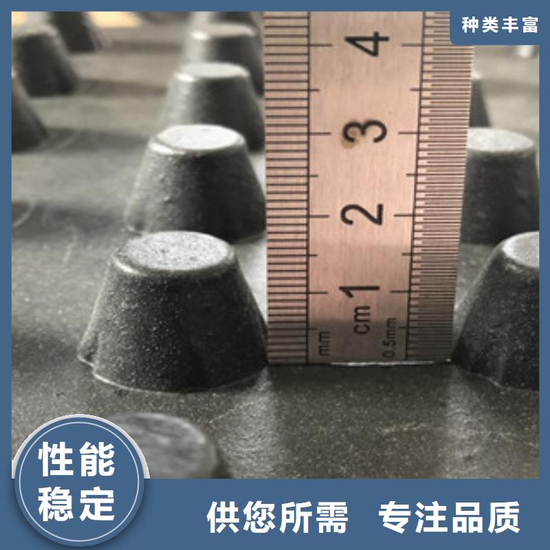 排水板植草格厂家诚信商家