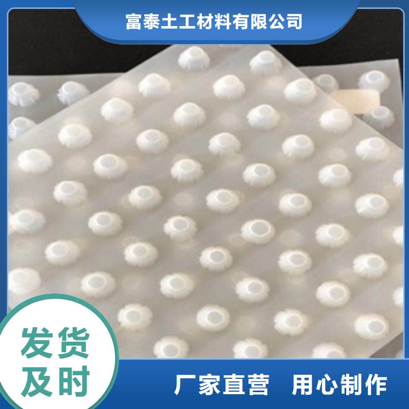 【排水板】,膨润土防水毯厂家免费安装 富泰土工材料(海南省分公司)