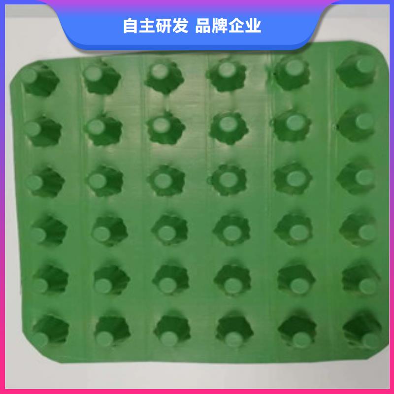 【排水板】,膨润土防水毯厂家免费安装 富泰土工材料(海南省分公司)