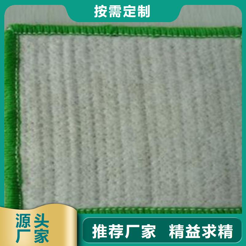 防水毯_虹吸排水槽厂家用心做好细节