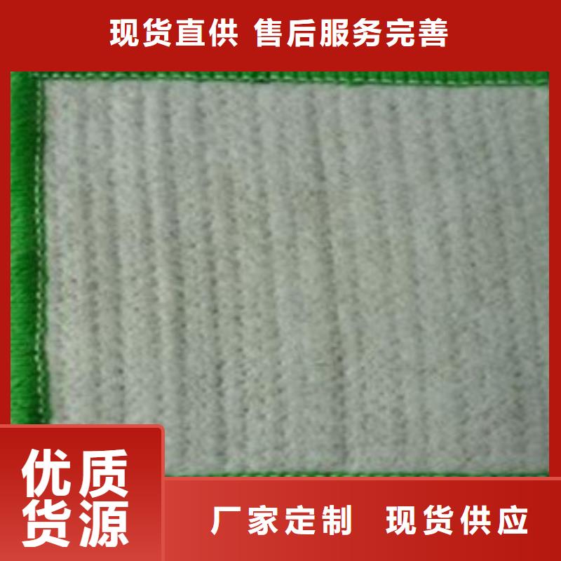 |海口富泰防水毯 【无纺布厂家】实力厂商
