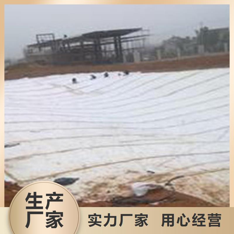 《富泰》价格低 防水毯 【无纺布厂家】实力厂商