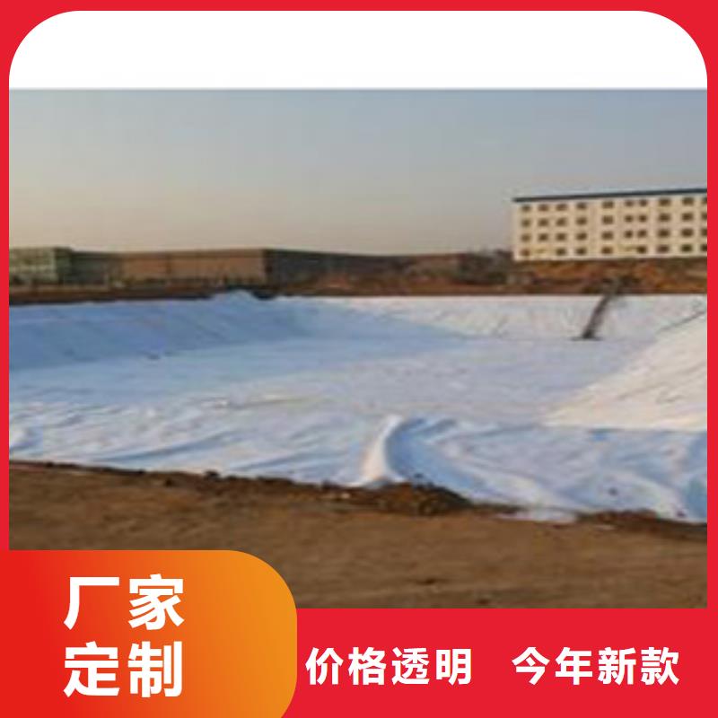 |海口富泰防水毯 【无纺布厂家】实力厂商