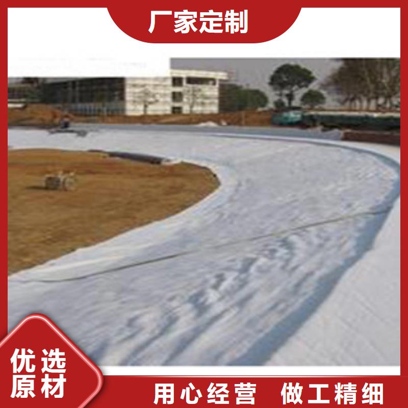 《富泰》价格低 防水毯 【无纺布厂家】实力厂商