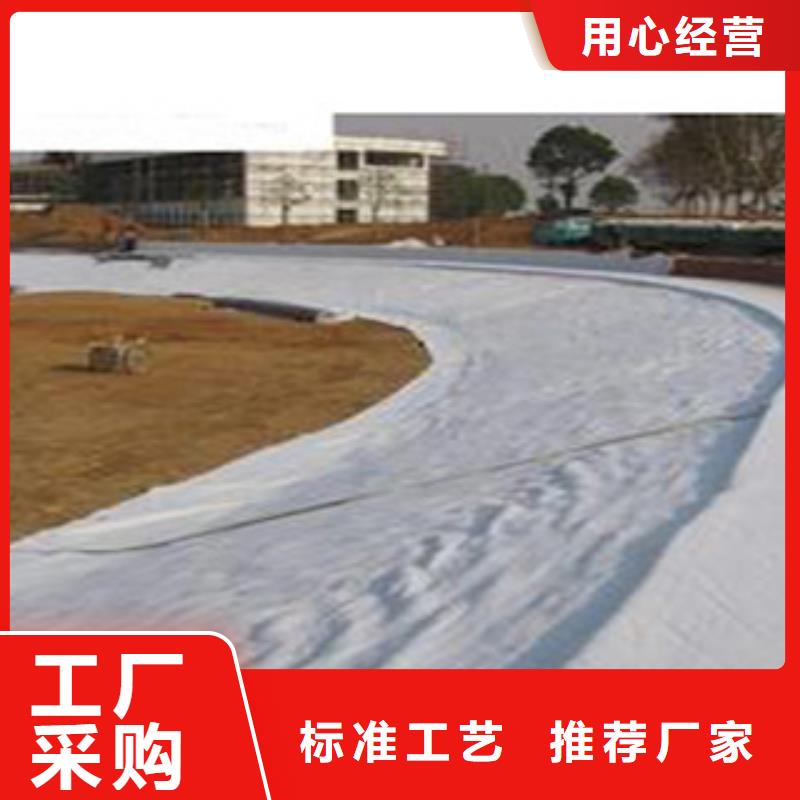 |海口富泰防水毯 【无纺布厂家】实力厂商