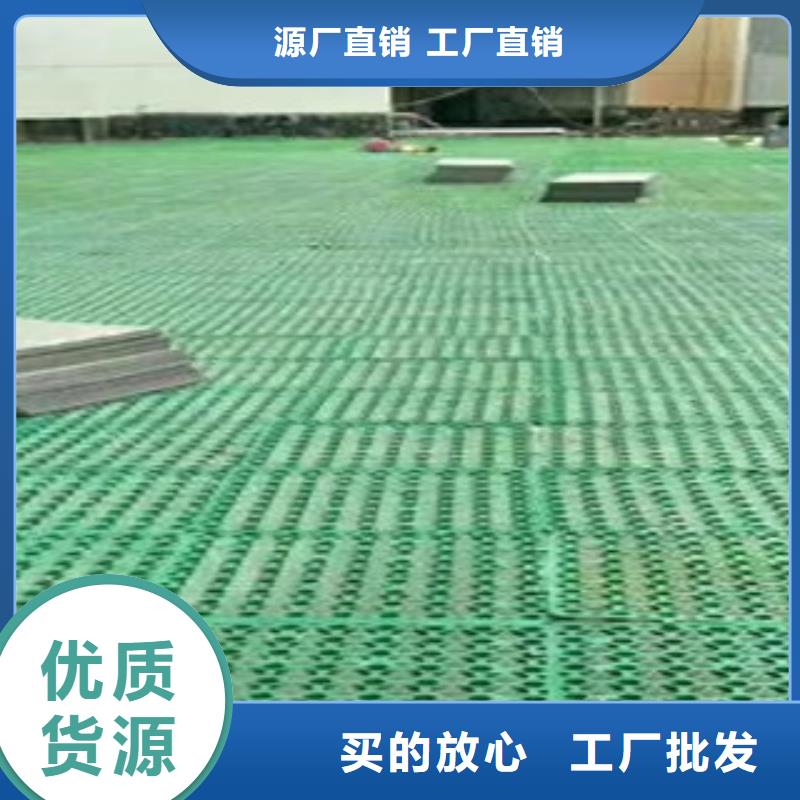 蓄排水板膨润土防水毯厂家严选好货