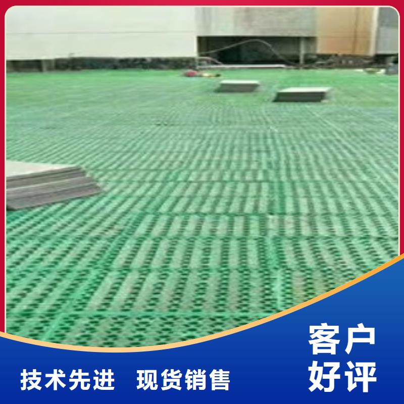 蓄排水板排水板厂家大库存无缺货危机