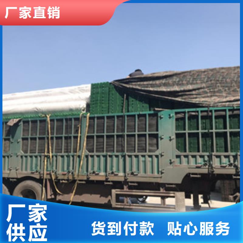 蓄排水板-膨润土防水毯厂家自有生产工厂
