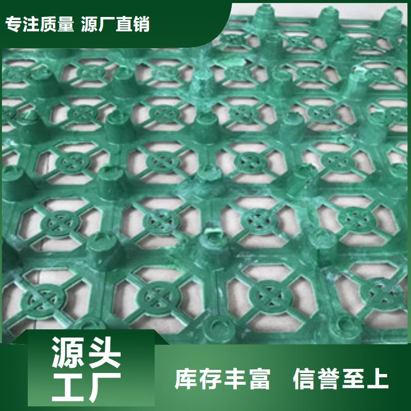 蓄排水板_膨润土防水毯厂家质量安心
