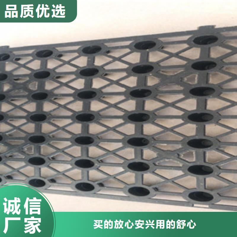 蓄排水板-排水板厂家源头把关放心选购