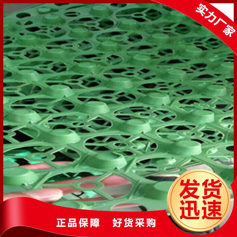 蓄排水板 【虹吸排水槽厂家】无中间商厂家直销-富泰土工材料(洛阳市分公司)