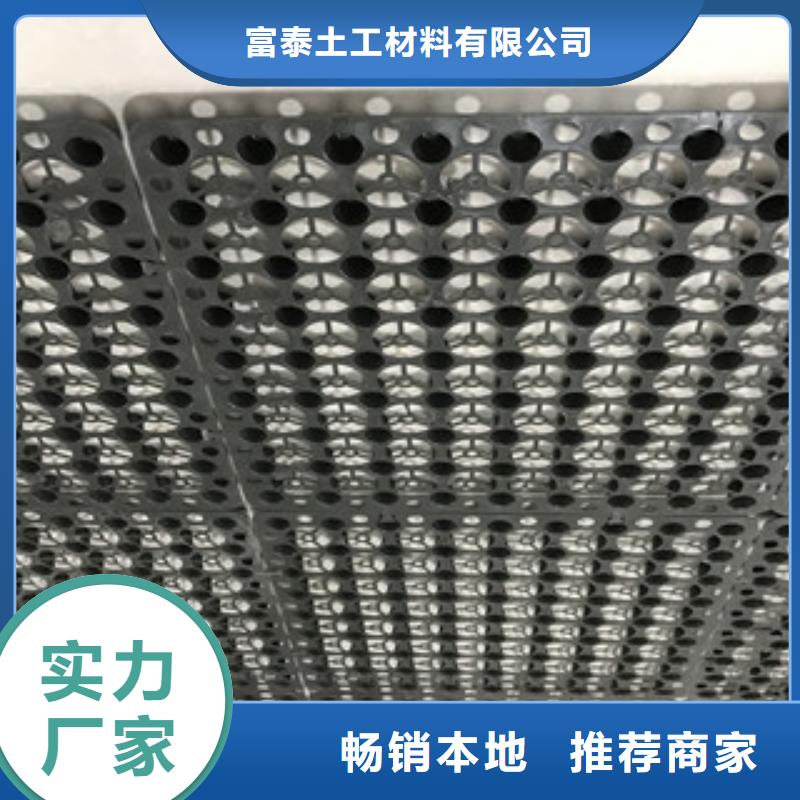 品牌:富泰-精工制作【蓄排水板】 土工布厂家畅销本地_二八商务