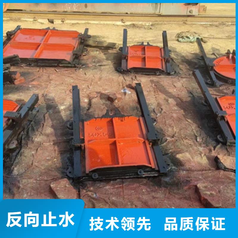 鹤壁水闸河道铸铁闸门选材优质