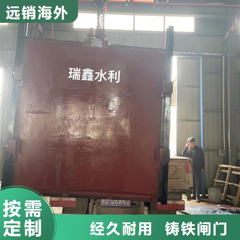 丽水水电站暗杆式铸铁镶铜闸门诚信经营