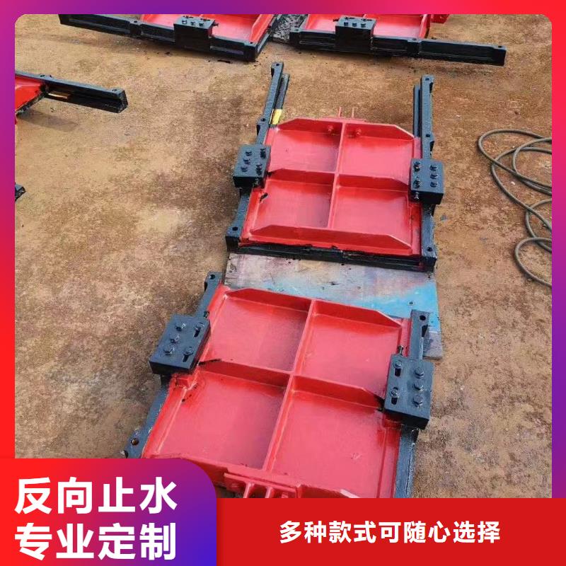 丽水水电站暗杆式铸铁镶铜闸门诚信经营