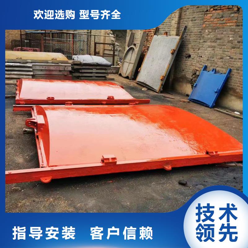 丽水水电站暗杆式铸铁镶铜闸门诚信经营