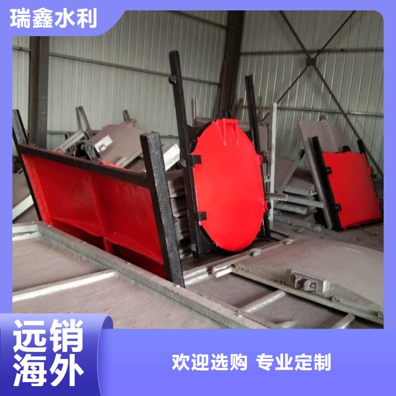 揭阳河道排灌渠铸铁闸门铸铁闸门