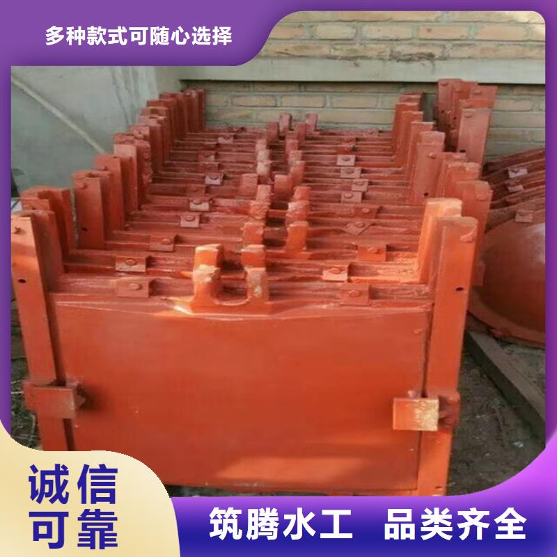 涵管铸铁闸门用心经营