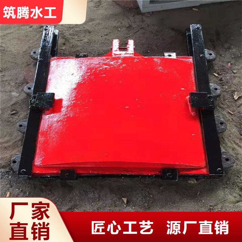涵管铸铁闸门用心经营