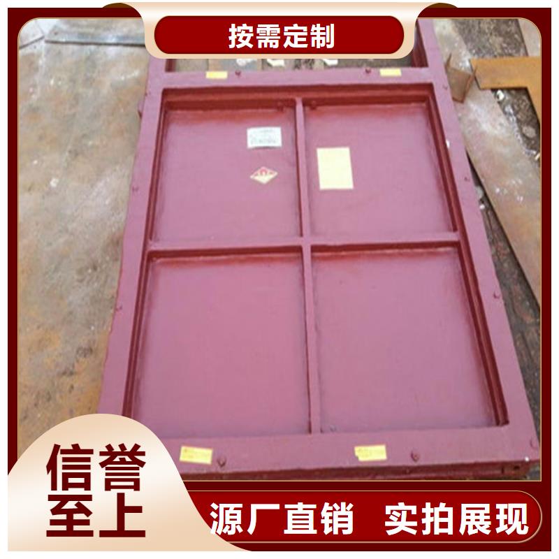 涵管铸铁闸门用心经营