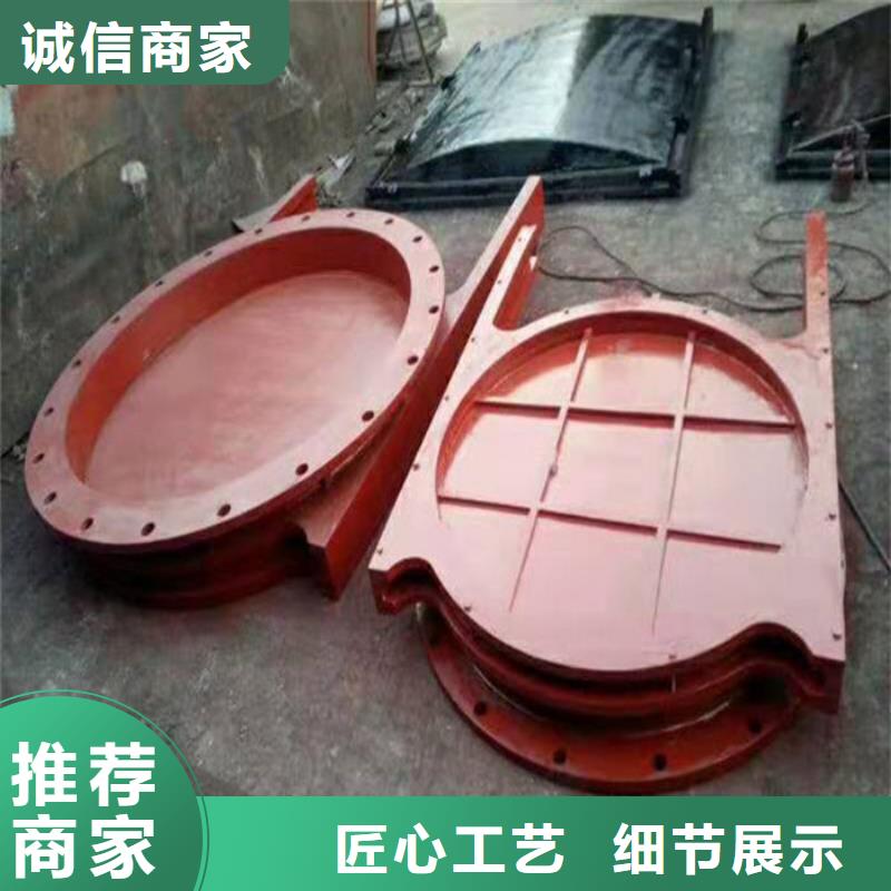 双向镶铜铸铁闸门工厂直供