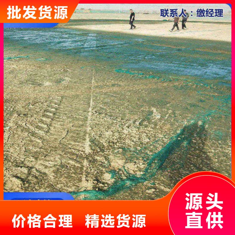 道路生物型降尘剂厂家